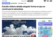 Estudio chileno detalla singular forma en que se construye la naturaleza (Futuro 360)