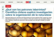 ¿Qué son los patrones laberintos? Científico chileno explicó investigación sobre la organización de la naturaleza (Radio ADN)