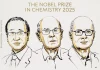 El material reconocido con el Nobel de Química 2025 también se investiga en Chile Nobel de Química